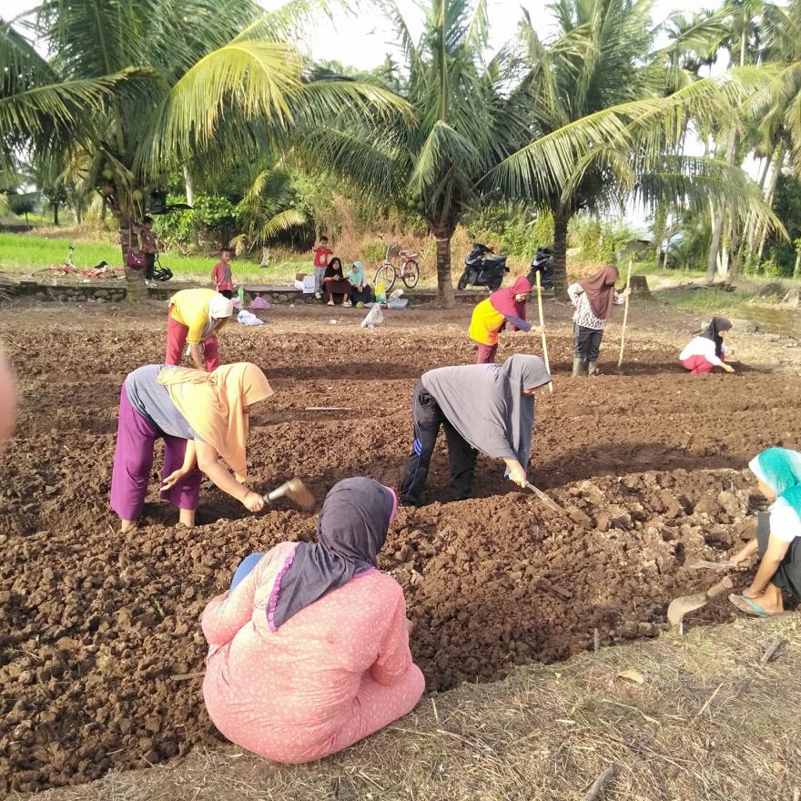 Pembentukan Kelompok Wanita Tani di Korong Kampuang Baru: Meningkatkan Pemberdayaan Perempuan Tani